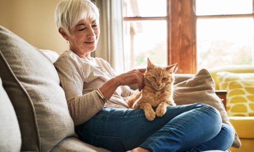 a woman sitting on a couch with a cat